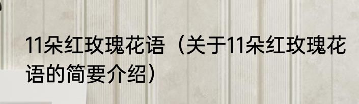 11朵红玫瑰花语（关于11朵红玫瑰花语的简要介绍）