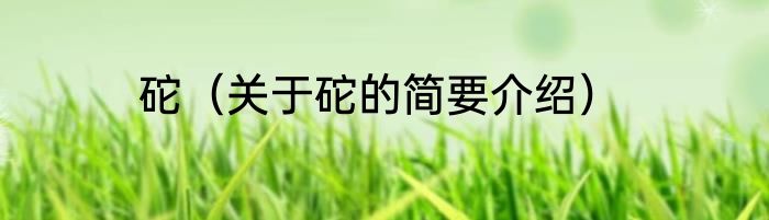 砣（关于砣的简要介绍）