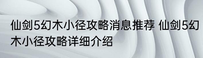 仙剑5幻木小径攻略消息推荐 仙剑5幻木小径攻略详细介绍