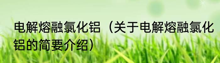 电解熔融氯化铝（关于电解熔融氯化铝的简要介绍）