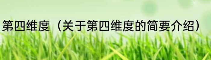 第四维度（关于第四维度的简要介绍）