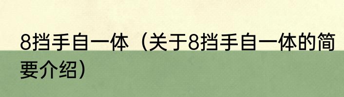 8挡手自一体（关于8挡手自一体的简要介绍）