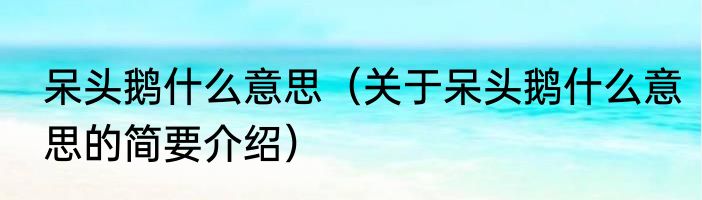 呆头鹅什么意思（关于呆头鹅什么意思的简要介绍）
