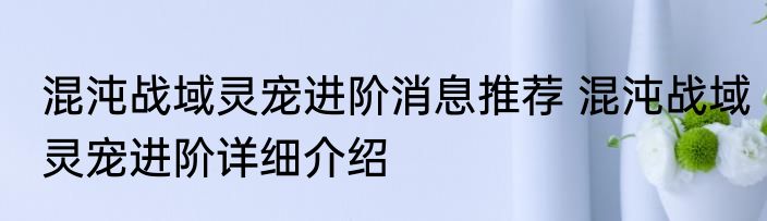 混沌战域灵宠进阶消息推荐 混沌战域灵宠进阶详细介绍