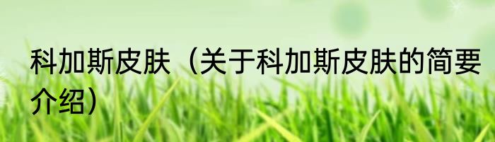 科加斯皮肤（关于科加斯皮肤的简要介绍）