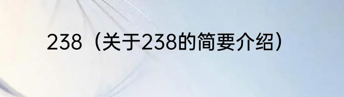 238（关于238的简要介绍）