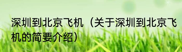 深圳到北京飞机（关于深圳到北京飞机的简要介绍）