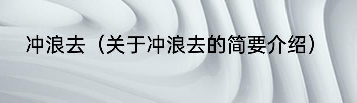 冲浪去（关于冲浪去的简要介绍）