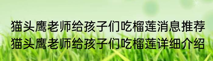 猫头鹰老师给孩子们吃榴莲消息推荐 猫头鹰老师给孩子们吃榴莲详细介绍