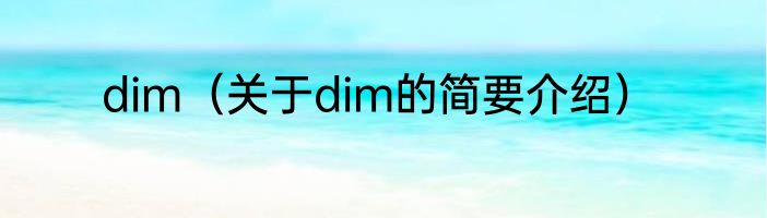 dim（关于dim的简要介绍）