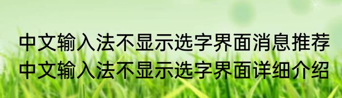 中文输入法不显示选字界面消息推荐 中文输入法不显示选字界面详细介绍