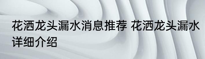 花洒龙头漏水消息推荐 花洒龙头漏水详细介绍