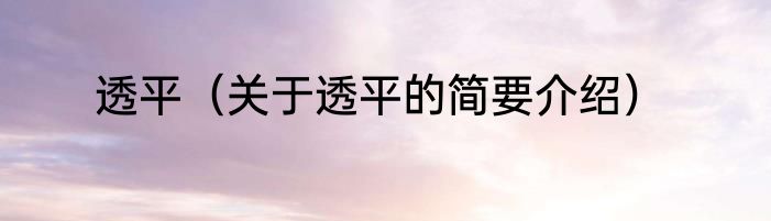 透平（关于透平的简要介绍）
