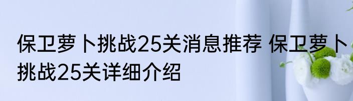 保卫萝卜挑战25关消息推荐 保卫萝卜挑战25关详细介绍