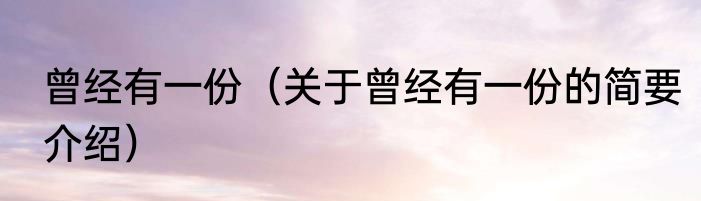 曾经有一份（关于曾经有一份的简要介绍）