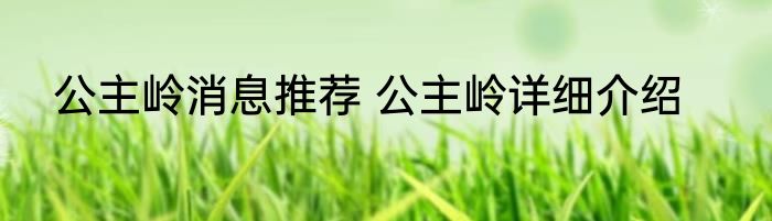 公主岭消息推荐 公主岭详细介绍