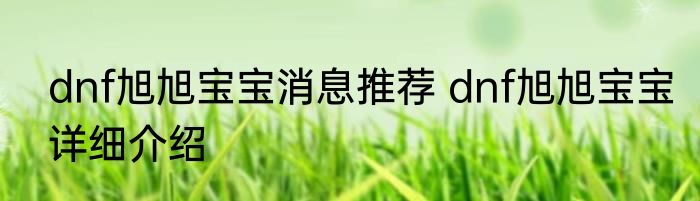 dnf旭旭宝宝消息推荐 dnf旭旭宝宝详细介绍