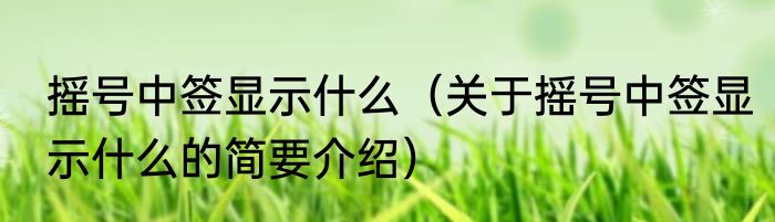 摇号中签显示什么（关于摇号中签显示什么的简要介绍）