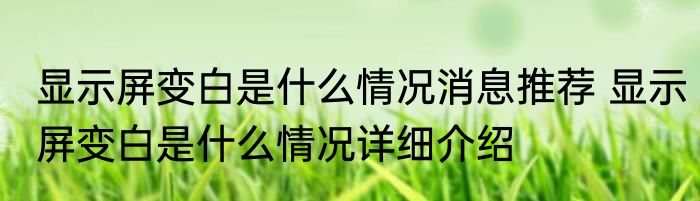 显示屏变白是什么情况消息推荐 显示屏变白是什么情况详细介绍
