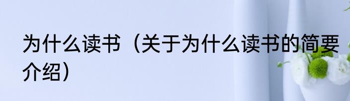 为什么读书（关于为什么读书的简要介绍）