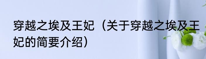 穿越之埃及王妃（关于穿越之埃及王妃的简要介绍）