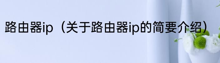 路由器ip（关于路由器ip的简要介绍）