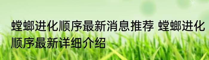 螳螂进化顺序最新消息推荐 螳螂进化顺序最新详细介绍