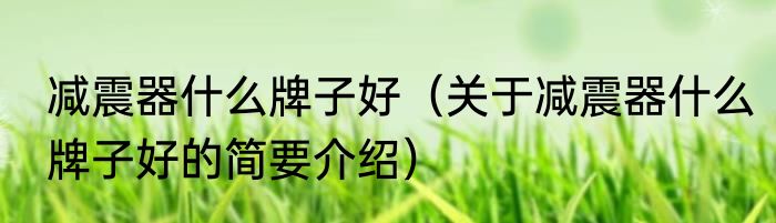 减震器什么牌子好（关于减震器什么牌子好的简要介绍）