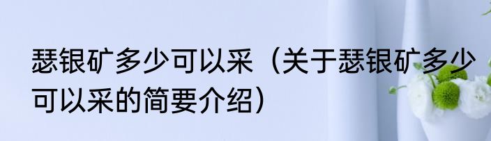 瑟银矿多少可以采（关于瑟银矿多少可以采的简要介绍）
