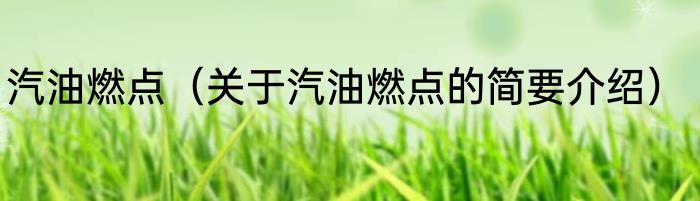 汽油燃点（关于汽油燃点的简要介绍）