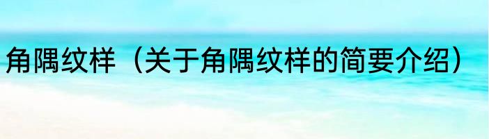 角隅纹样（关于角隅纹样的简要介绍）