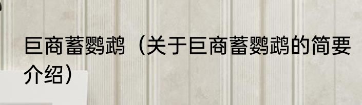 巨商蓄鹦鹉（关于巨商蓄鹦鹉的简要介绍）