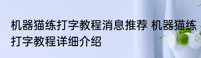 机器猫练打字教程消息推荐 机器猫练打字教程详细介绍