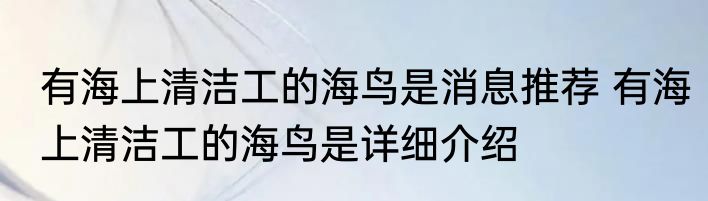 有海上清洁工的海鸟是消息推荐 有海上清洁工的海鸟是详细介绍