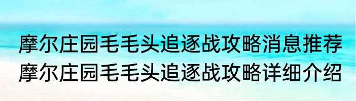 摩尔庄园毛毛头追逐战攻略消息推荐 摩尔庄园毛毛头追逐战攻略详细介绍