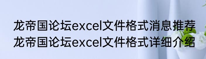 龙帝国论坛excel文件格式消息推荐 龙帝国论坛excel文件格式详细介绍