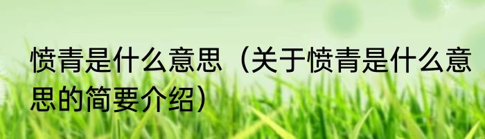 愤青是什么意思（关于愤青是什么意思的简要介绍）