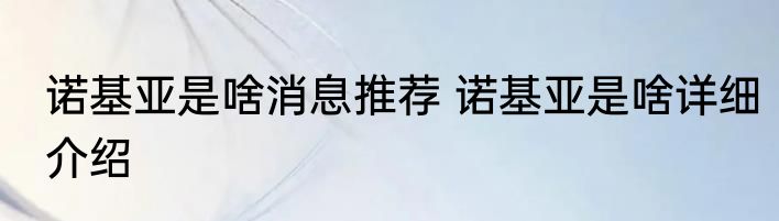 诺基亚是啥消息推荐 诺基亚是啥详细介绍