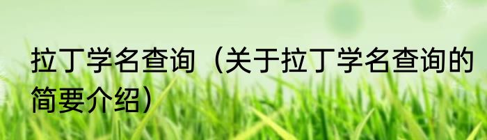 拉丁学名查询（关于拉丁学名查询的简要介绍）