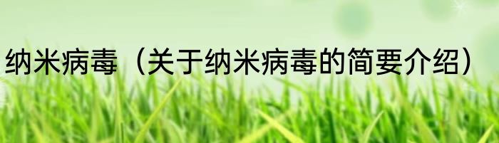 纳米病毒（关于纳米病毒的简要介绍）