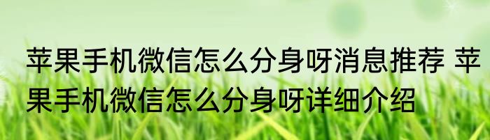 苹果手机微信怎么分身呀消息推荐 苹果手机微信怎么分身呀详细介绍