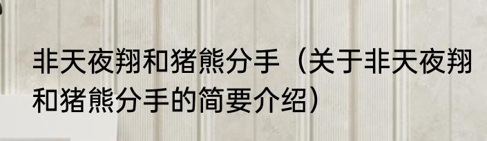 非天夜翔和猪熊分手（关于非天夜翔和猪熊分手的简要介绍）