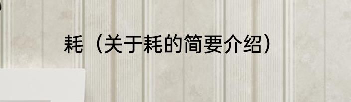 耗（关于耗的简要介绍）