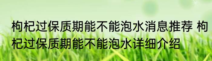 枸杞过保质期能不能泡水消息推荐 枸杞过保质期能不能泡水详细介绍