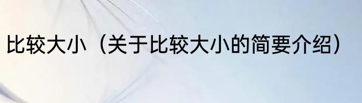 比较大小（关于比较大小的简要介绍）