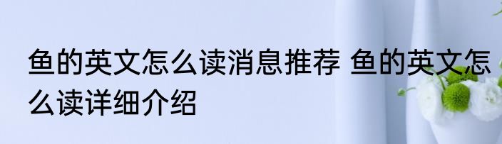 鱼的英文怎么读消息推荐 鱼的英文怎么读详细介绍