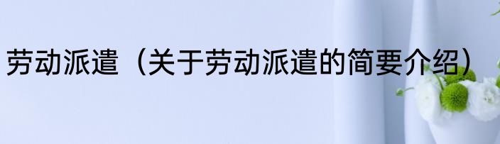 劳动派遣（关于劳动派遣的简要介绍）