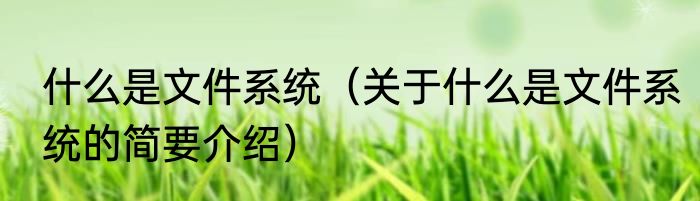 什么是文件系统（关于什么是文件系统的简要介绍）