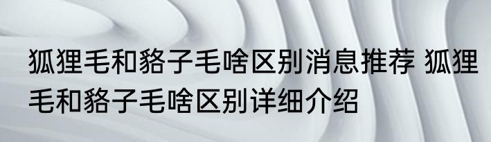 狐狸毛和貉子毛啥区别消息推荐 狐狸毛和貉子毛啥区别详细介绍