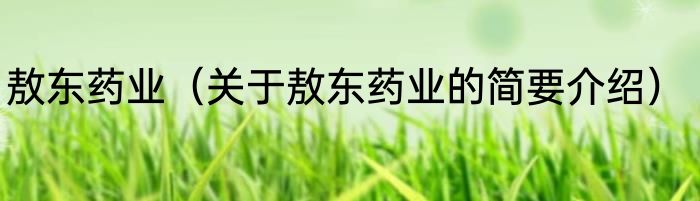 敖东药业（关于敖东药业的简要介绍）